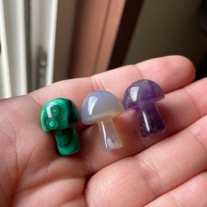 Mushroom Trio
